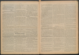 gazeta radomska-1884-16-00002